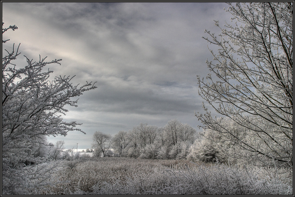 ... Winter in der Magdeburger Börde II ...