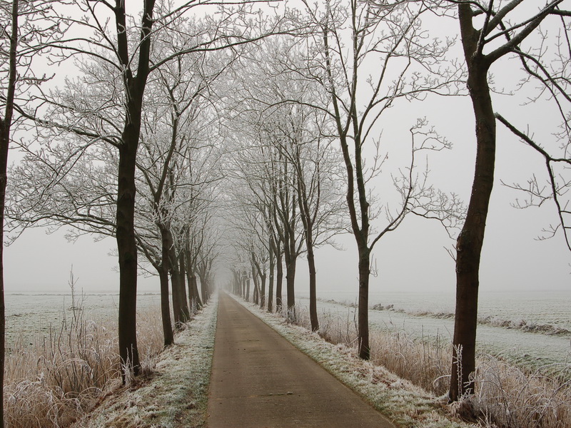 Winter in der Marsch