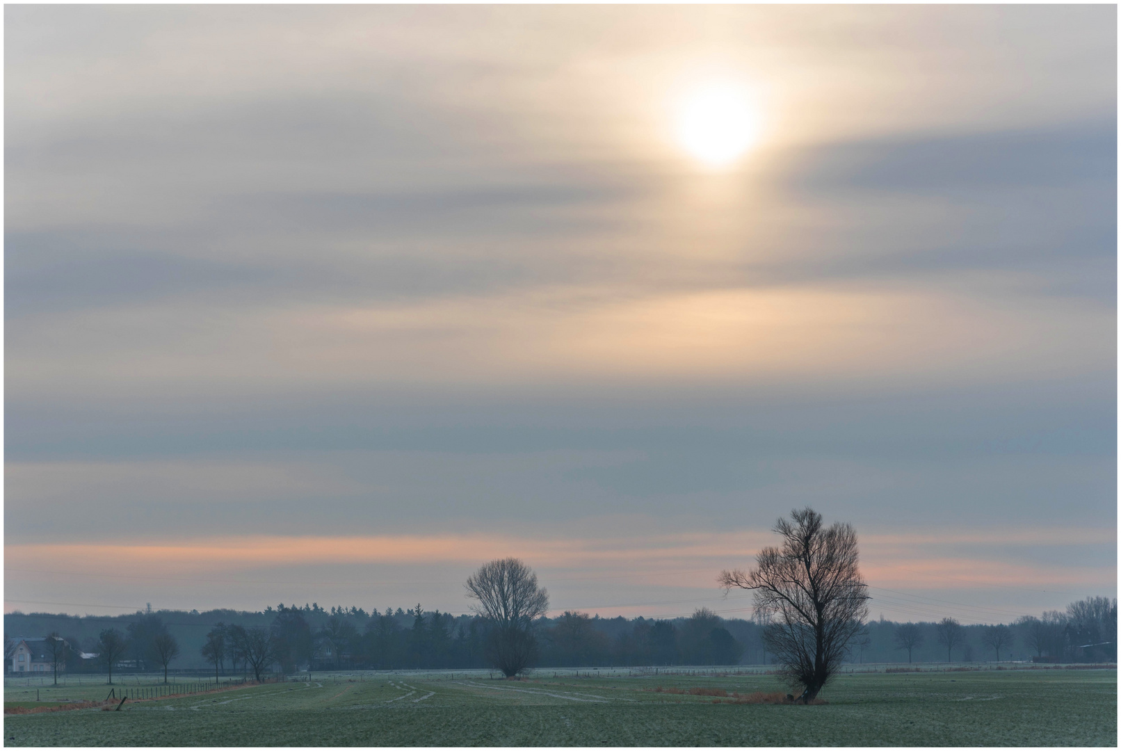 Winter in der Marsch