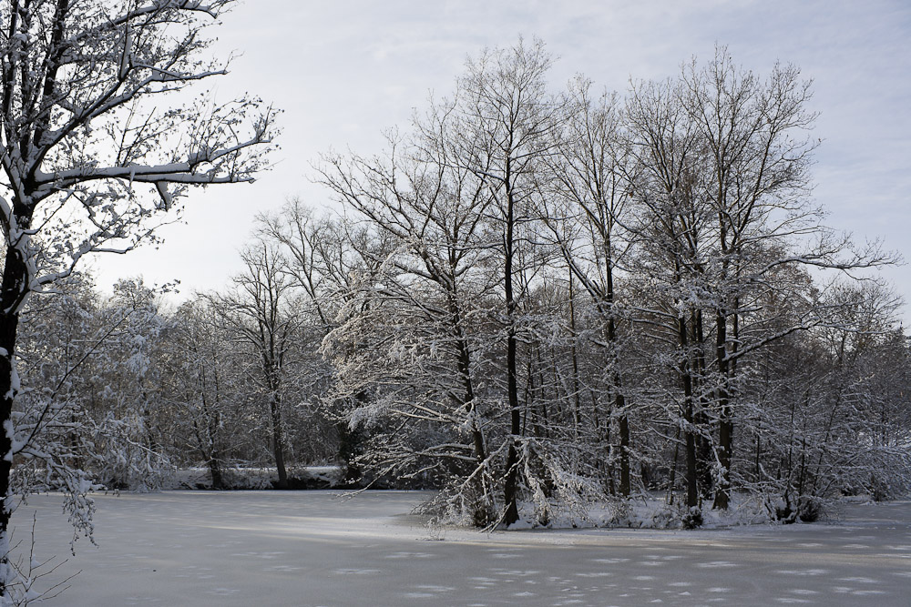 Winter in der Nähe des Solitudes.