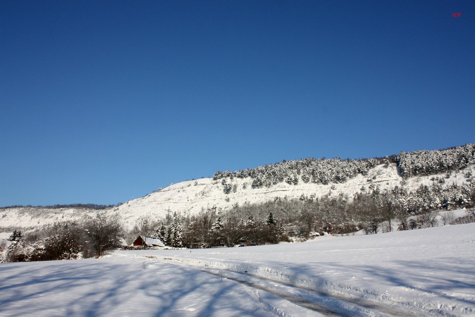 Winter in der Nähe von Jena