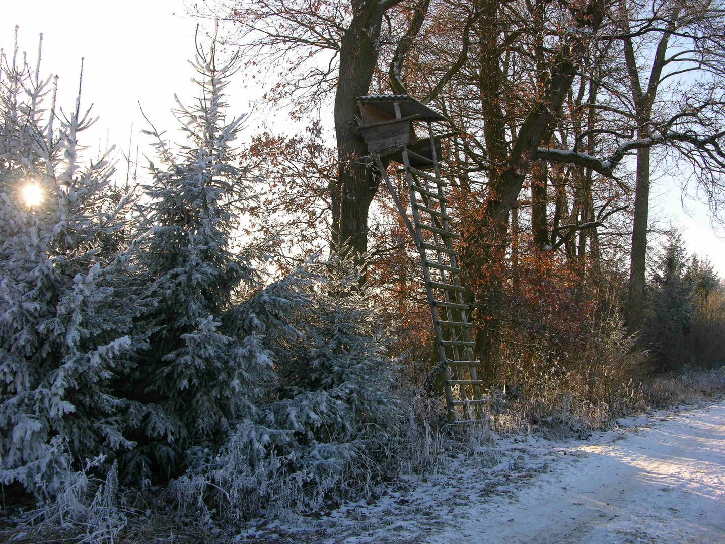 Winter in der Natur