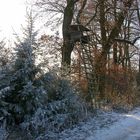 Winter in der Natur