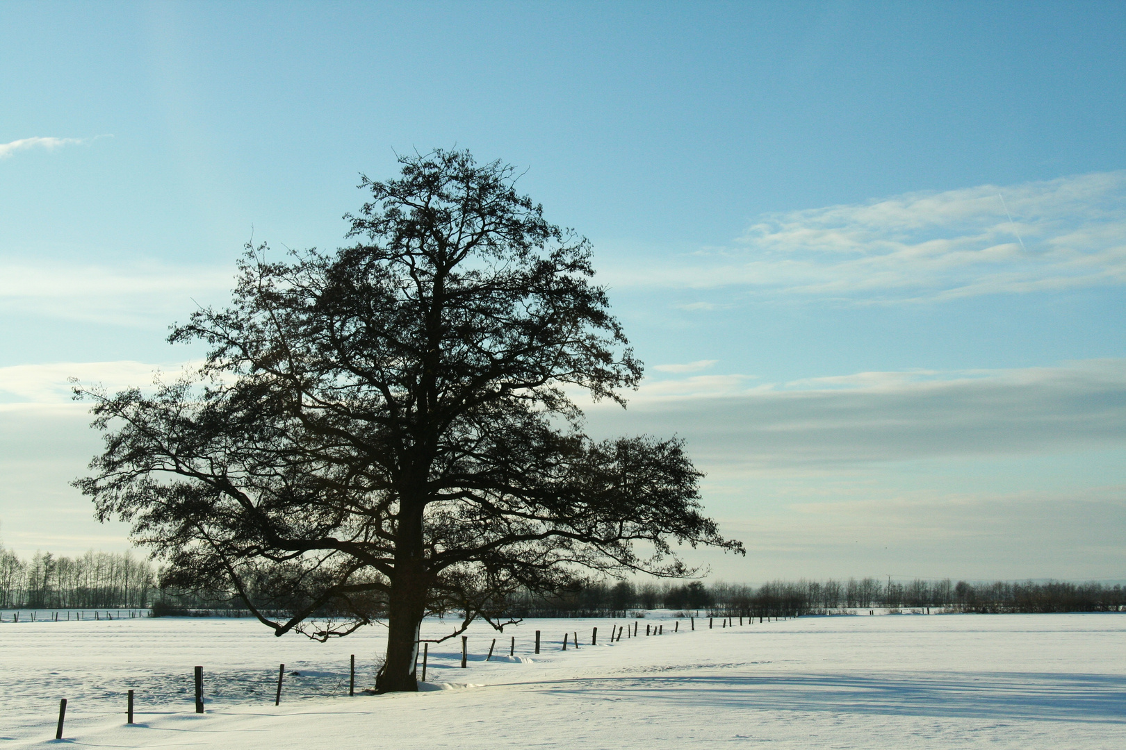 Winter in der Niederung