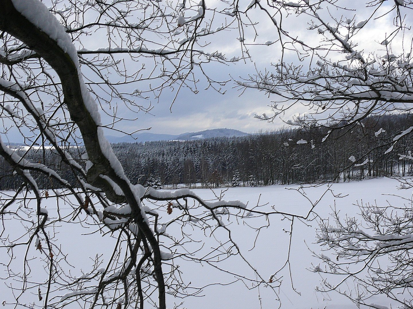 Winter in der Oberlausitz