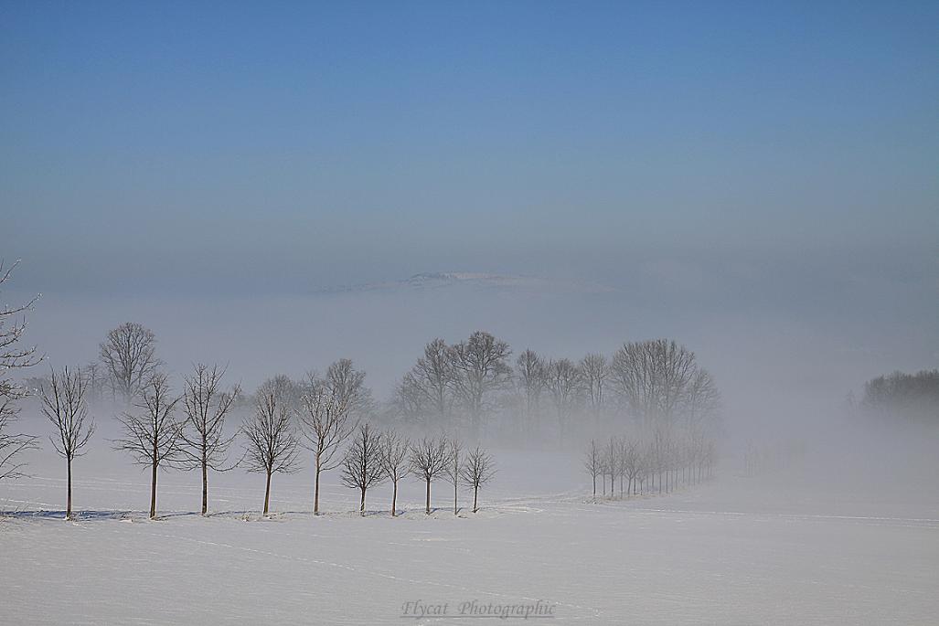 Winter in der Oberlausitz