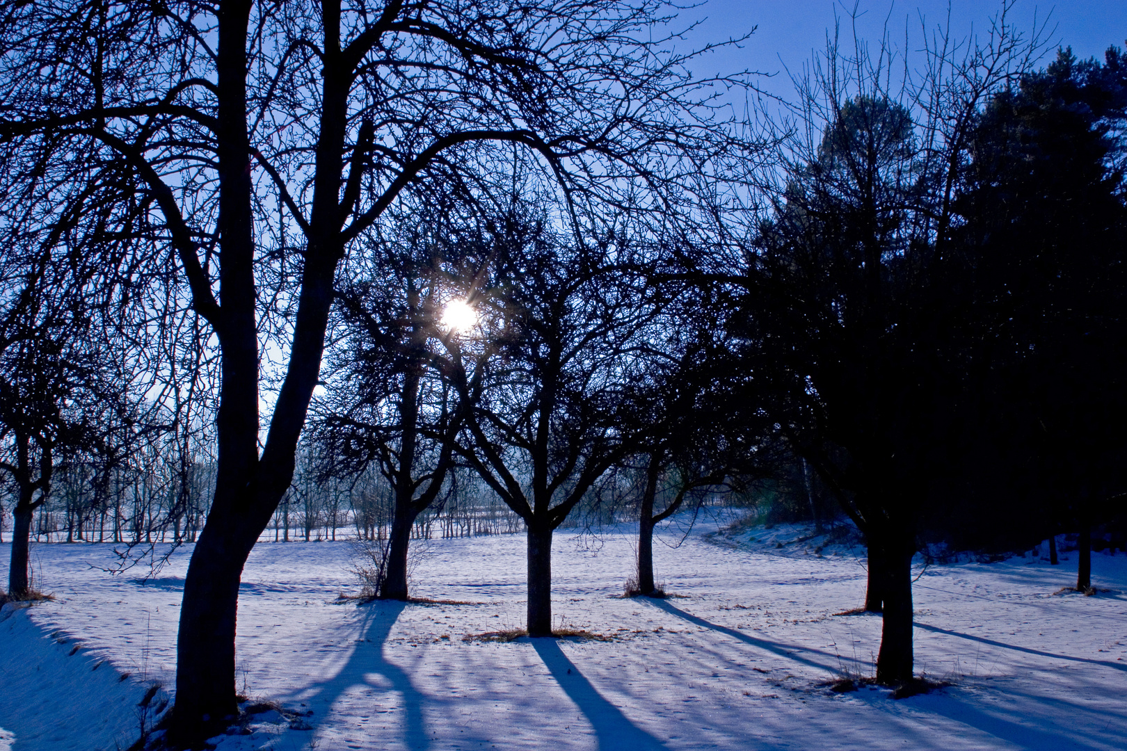 Winter in der Oberpfalz (1)