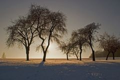 Winter in der Oberpfalz (2)