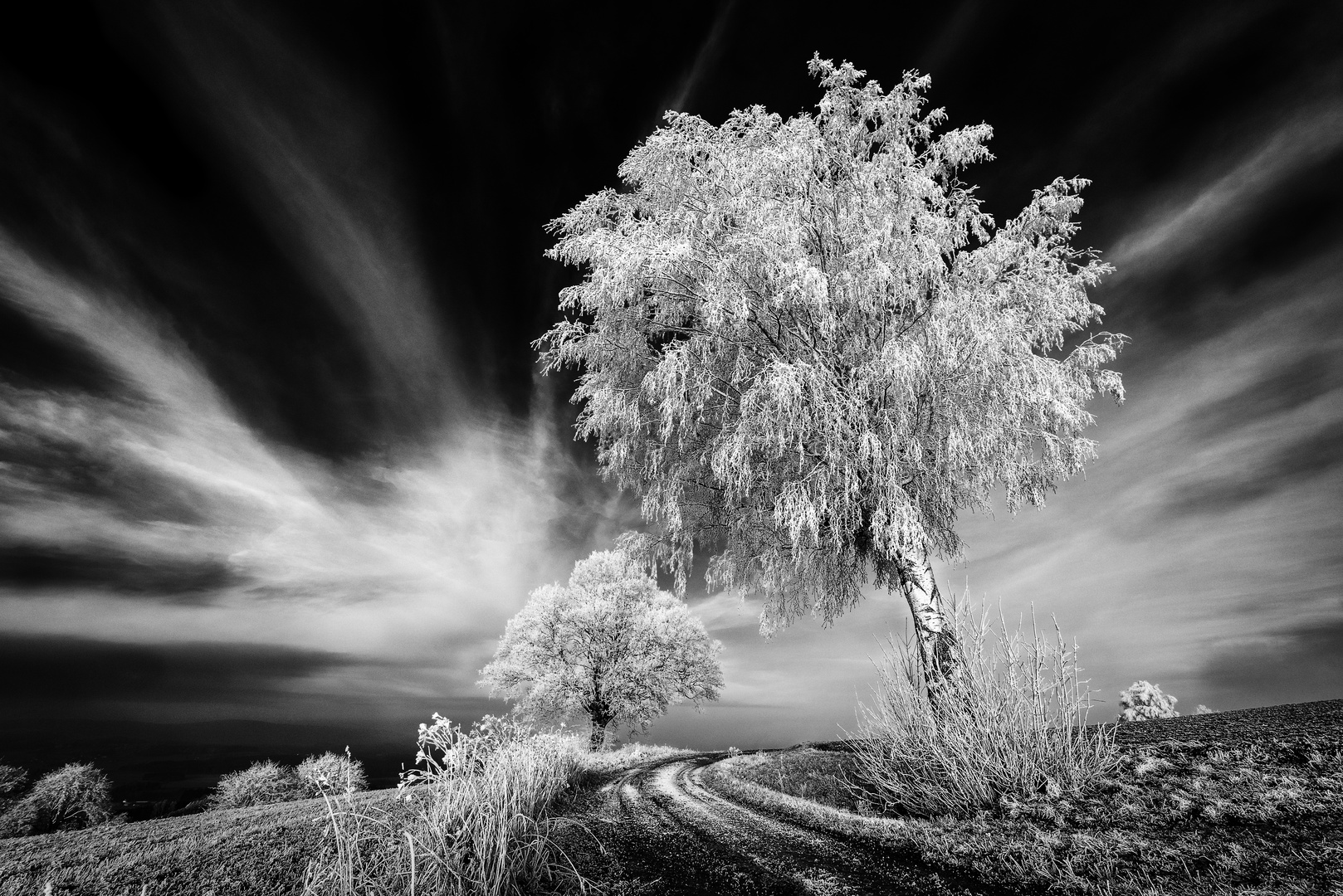 Winter in der Oberpfalz