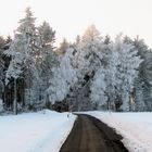 Winter in der Oberpfalz