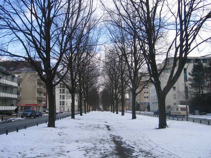 Winter in der Palmalle