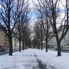 Winter in der Palmalle