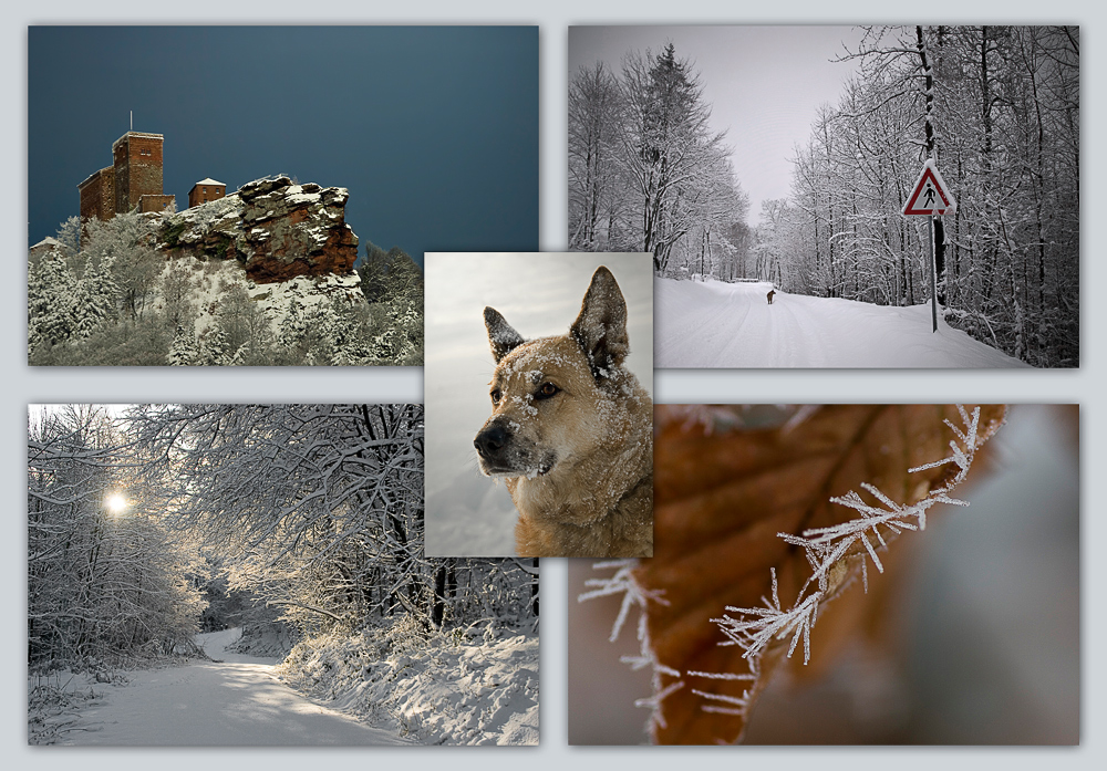 Winter in der Pfalz