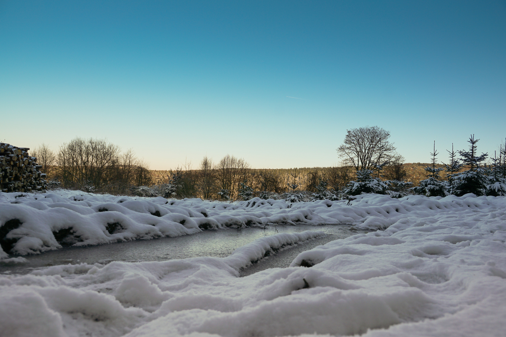 Winter in der Pfalz