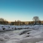 Winter in der Pfalz