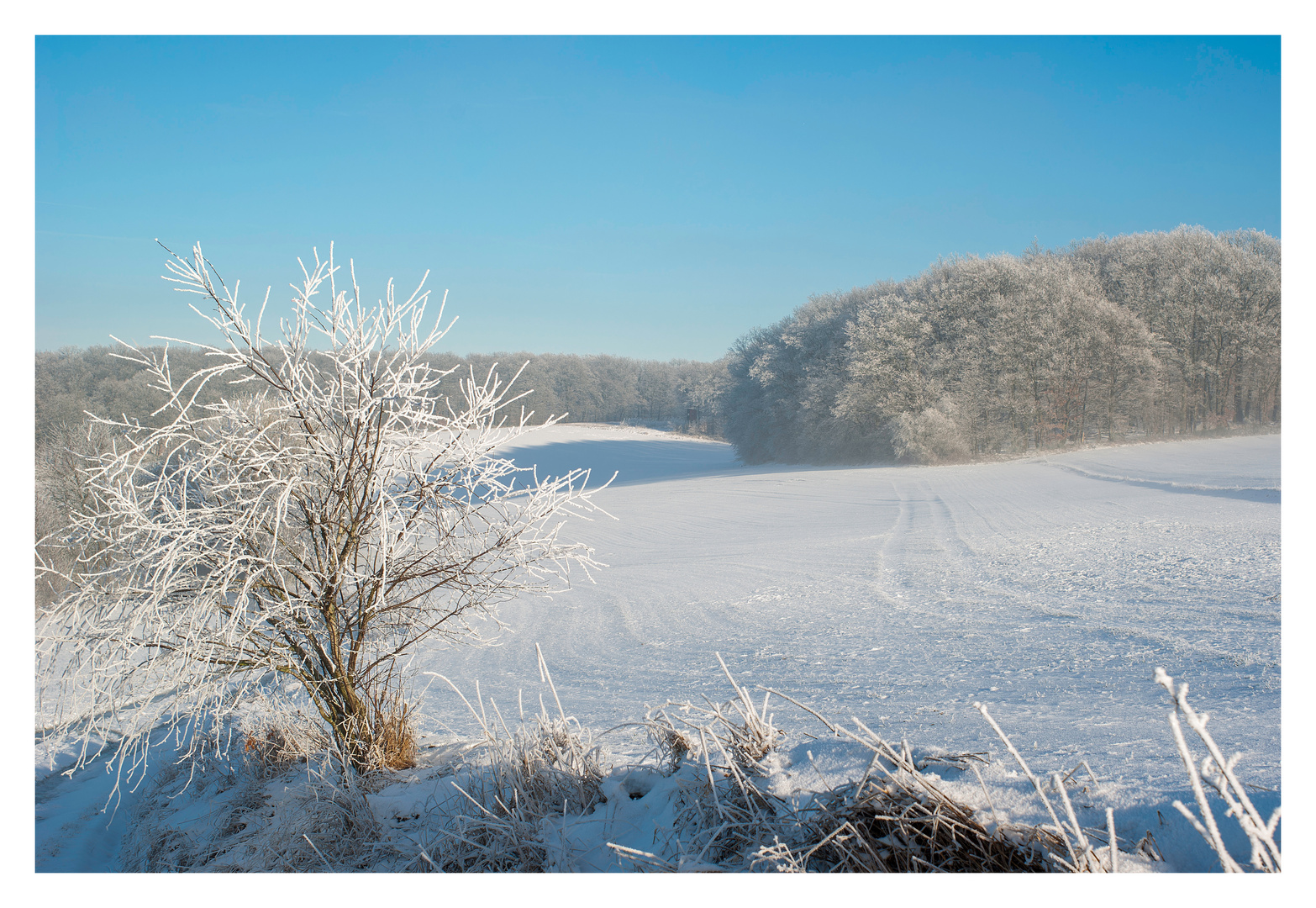 Winter in der Pfalz