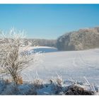 Winter in der Pfalz