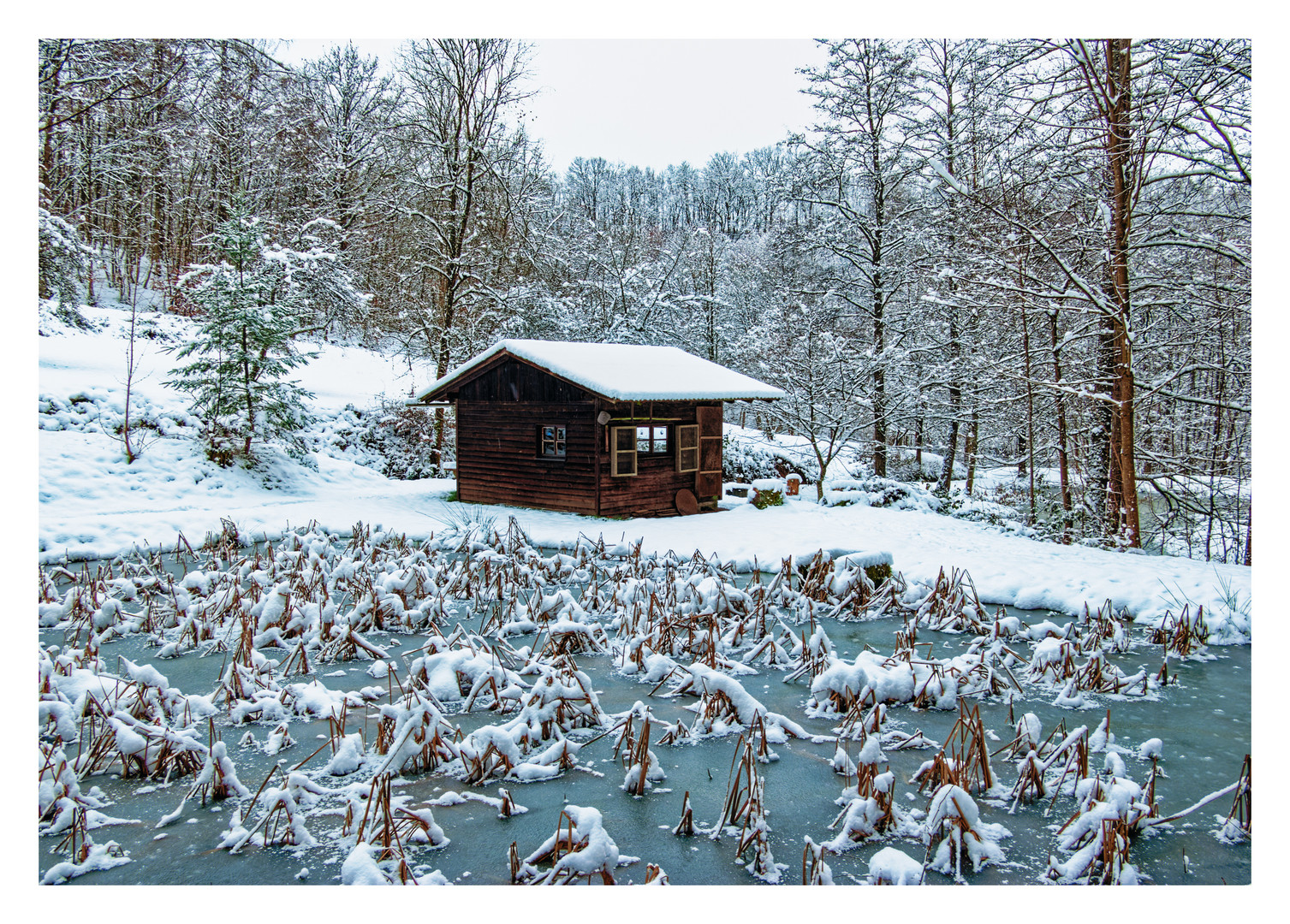 Winter in der Pfalz