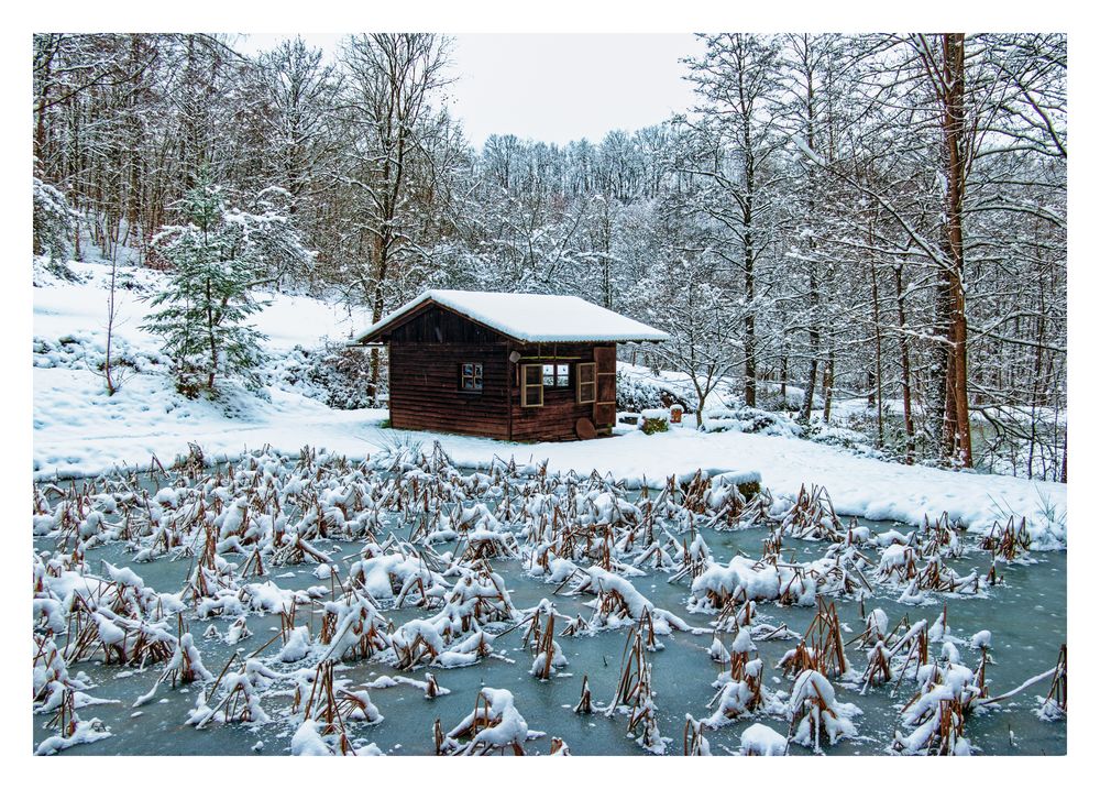 Winter in der Pfalz Foto & Bild  deutschland, europe, rheinland-pfalz Bilder auf fotocommunity