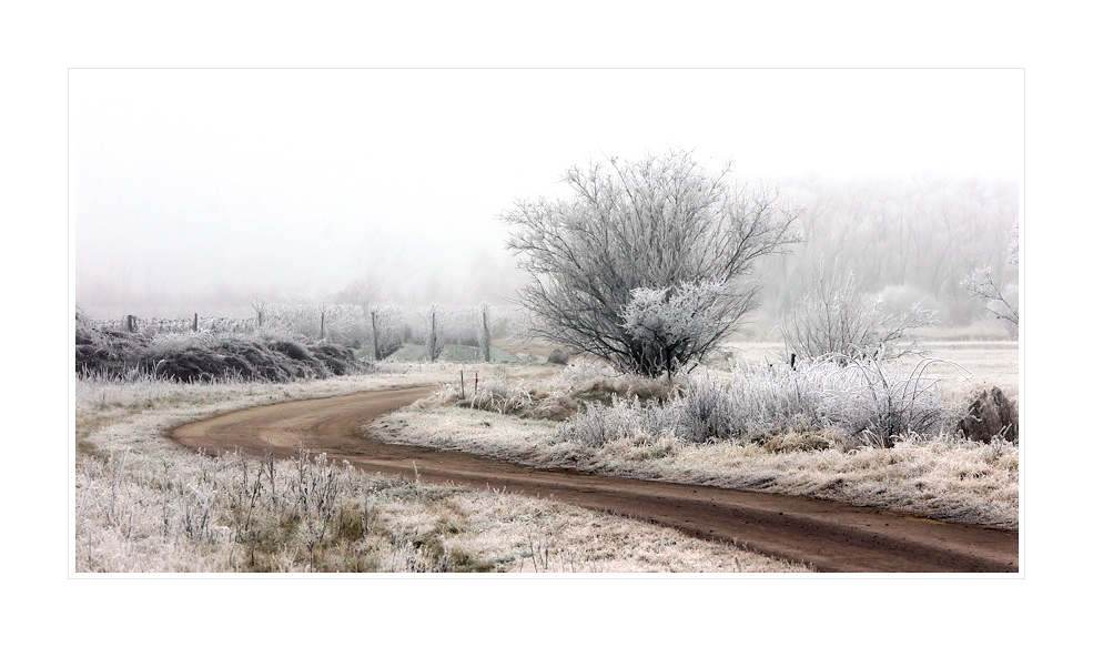 Winter in der Pfalz