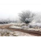 Winter in der Pfalz