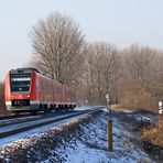 Winter in der Pfalz (Nr.2)