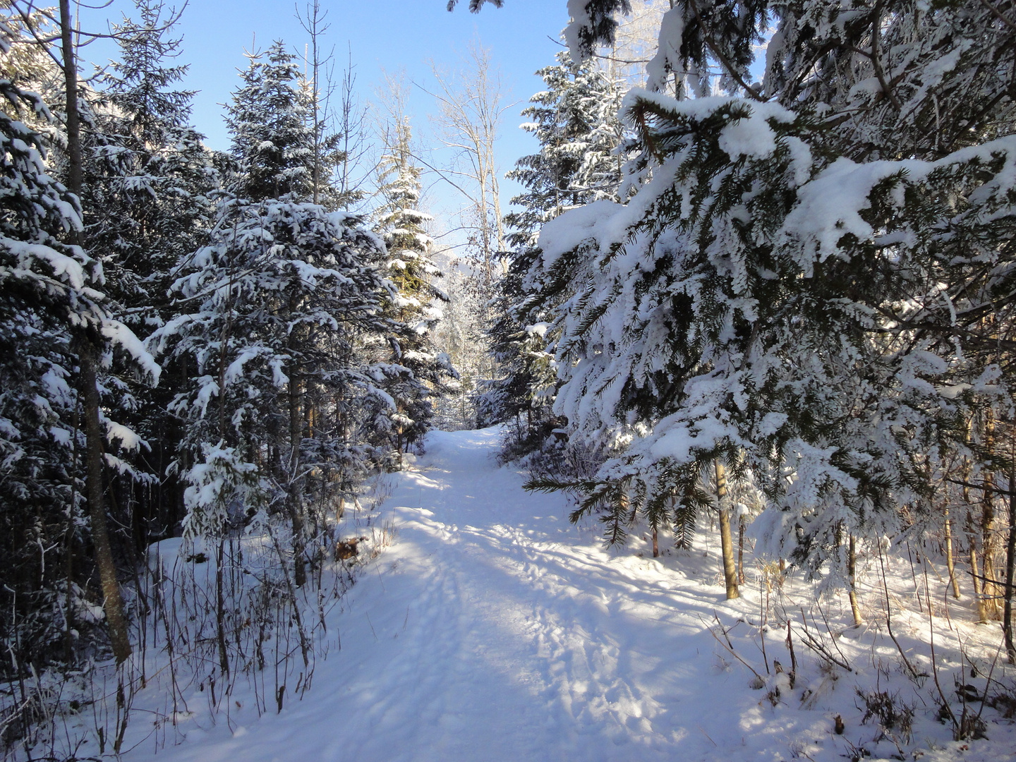 Winter in der Ramsau