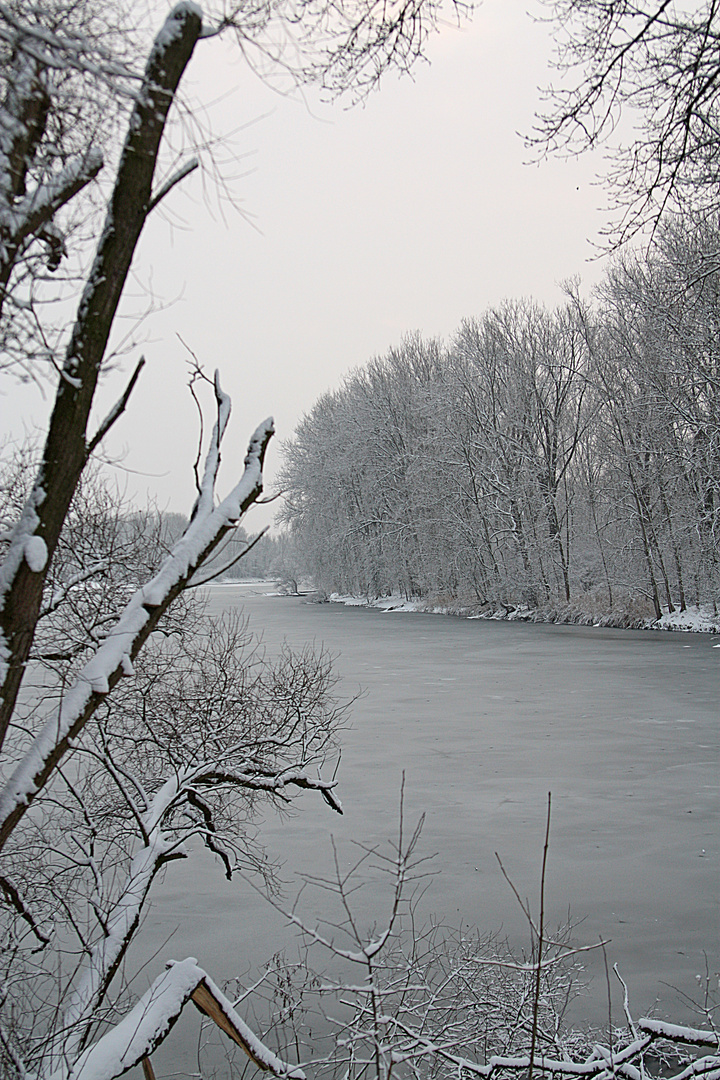 Winter in der Rheinaue/Lampertheim