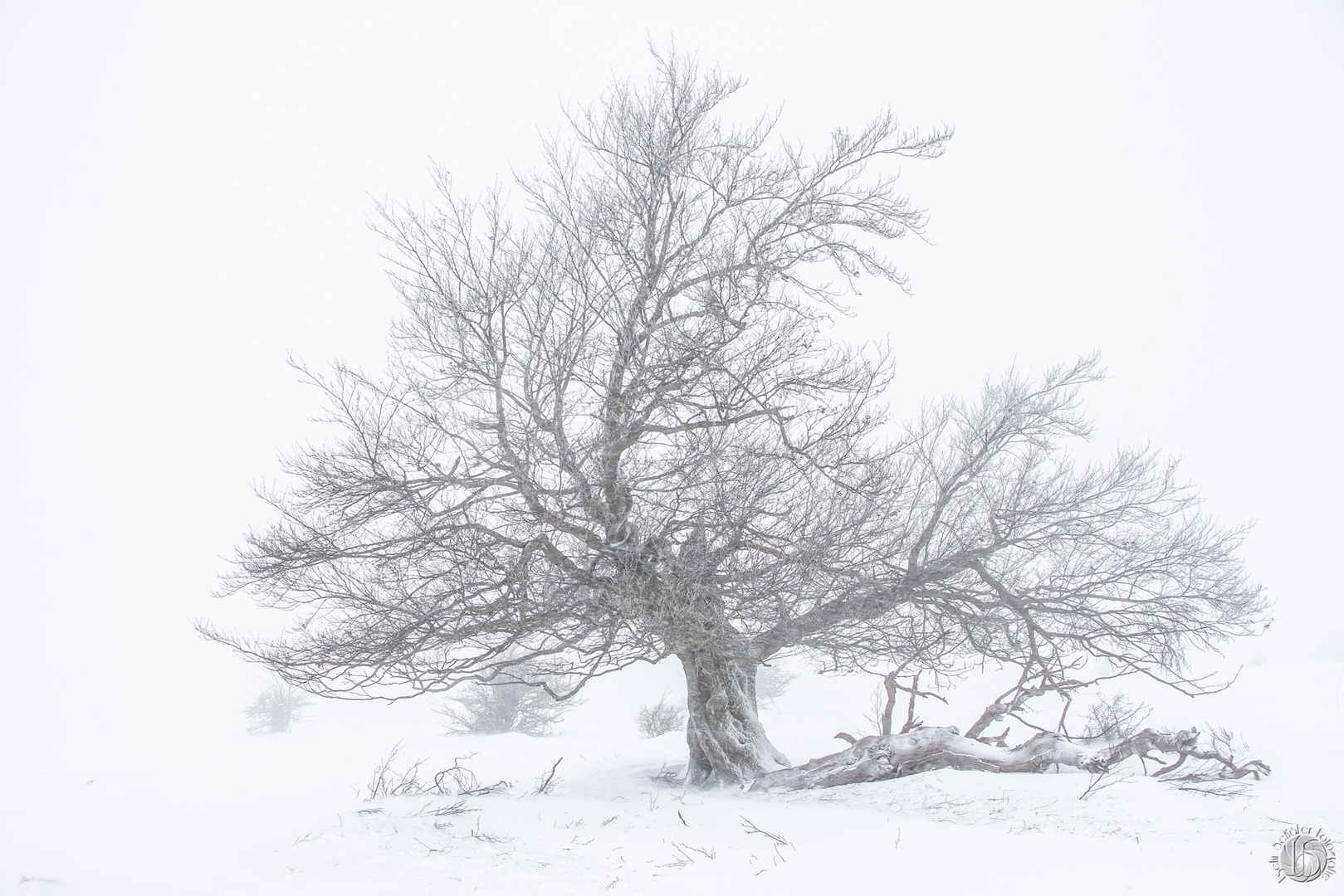 Winter in der Rhön 