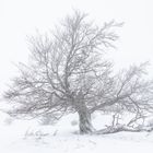 Winter in der Rhön 