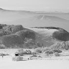 Winter in der Rhön -2-