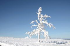 Winter in der Rhön -32-