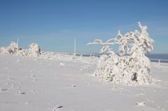 Winter in der Rhön -36-