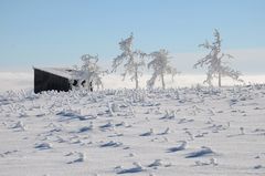 Winter in der Rhön -37-