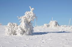 Winter in der Rhön -38-