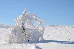 Winter in der Rhön -40-