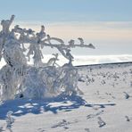 Winter in der Rhön -42-