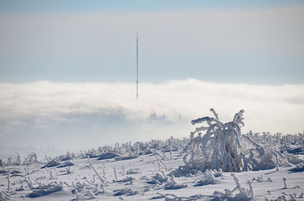 Winter in der Rhön -45-