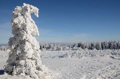 Winter in der Rhön -46-