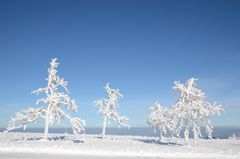 Winter in der Rhön -58-