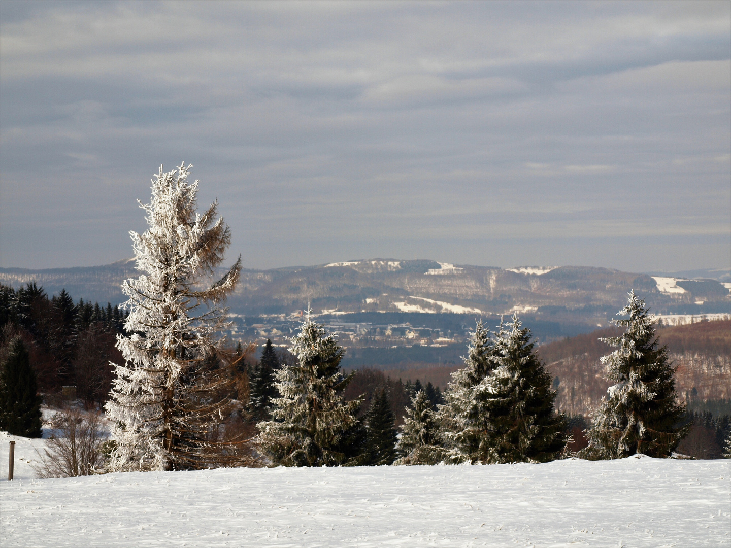 Winter in der Rhön