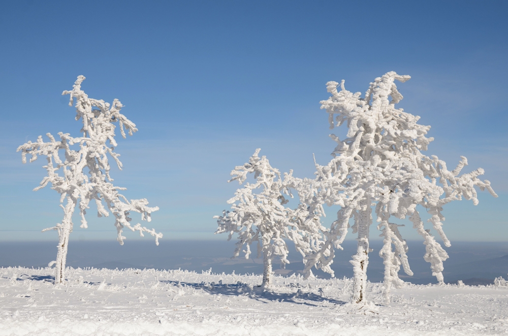 Winter in der Rhön -60-