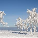 Winter in der Rhön -60-