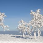 Winter in der Rhön -60-