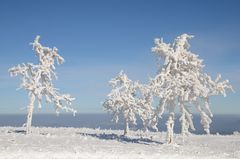 Winter in der Rhön -60-