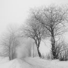 Winter in der Rhön