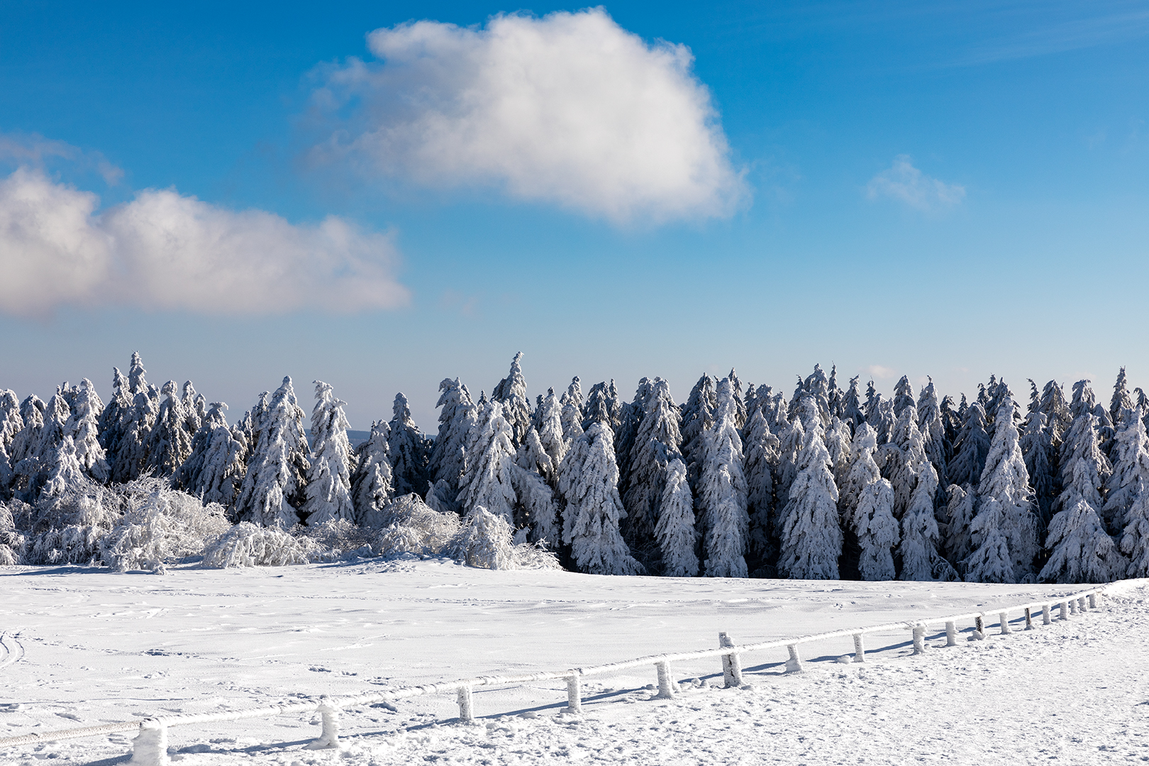 Winter in der Rhön