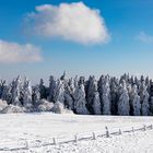 Winter in der Rhön