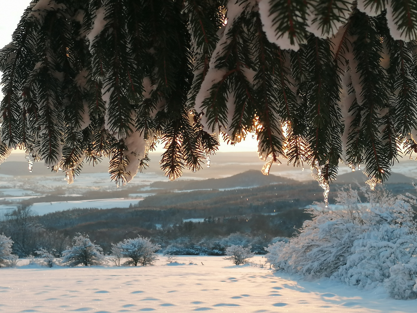 Winter in der Rhön 