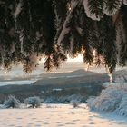 Winter in der Rhön 